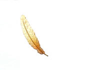 Έξοχη φτερών μετάλλων φτερών υποστήριξη δώρων σελιδοδεικτών ιδανική κλασσική μέσω χαρασμένος